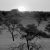 Sunset - Kalahari Desert, Namibia